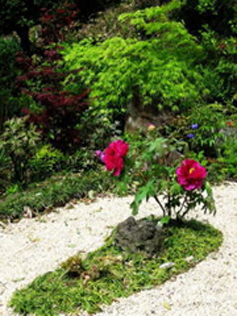 3月 春彼岸会